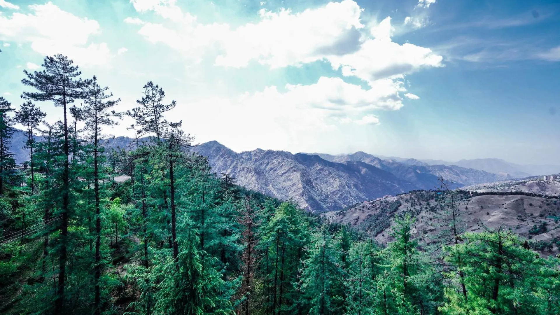 The Jungle View From Balcony In Resort Mashobra - A Relax Retreat Away From City Shimla